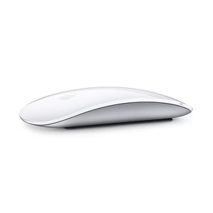 Magic Mouse view 1