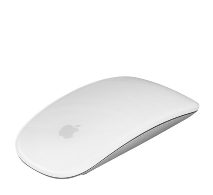 Magic Mouse view 2